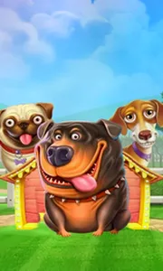 The Dog House